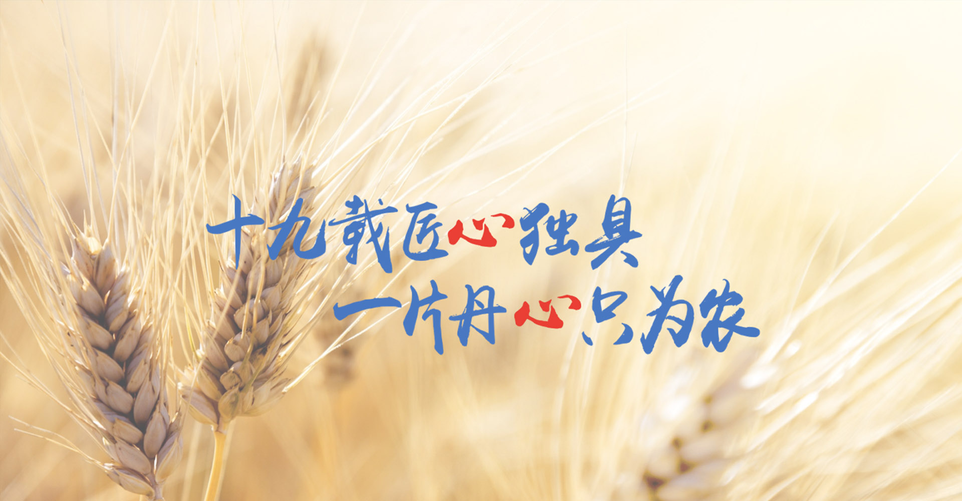 精細(xì)化學(xué) 綠色生活